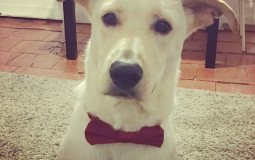 GIRL CELEBRITIES WOLA